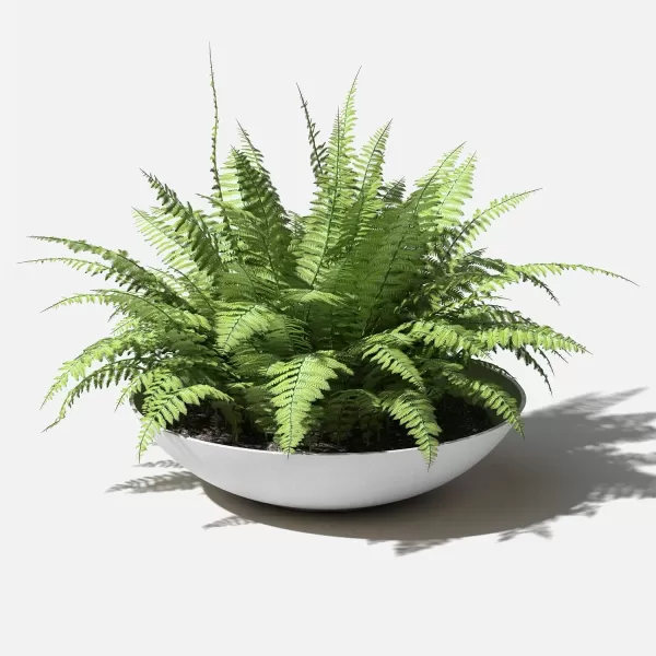 imageVeradek Mason Series Lane Bowl PlanterLarge Round Planter for Indoor or Outdoor TabletopsGardens Made from Plastic ampamp Concrete with Drainage HolesModern Dcor for Flowers Succulents Small PlantsWhite