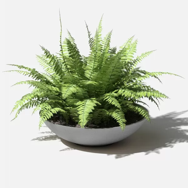 imageVeradek Mason Series Lane Bowl PlanterLarge Round Planter for Indoor or Outdoor TabletopsGardens Made from Plastic ampamp Concrete with Drainage HolesModern Dcor for Flowers Succulents Small PlantsGray