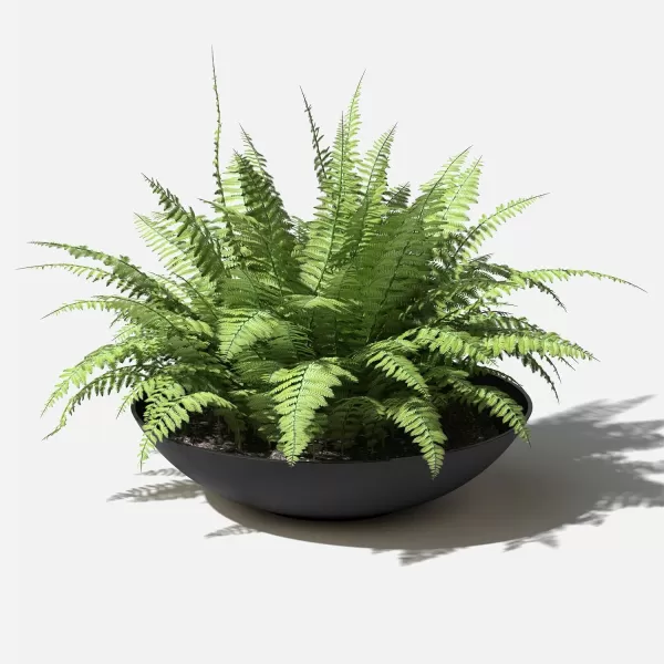 imageVeradek Mason Series Lane Bowl PlanterLarge Round Planter for Indoor or Outdoor TabletopsGardens Made from Plastic ampamp Concrete with Drainage HolesModern Dcor for Flowers Succulents Small PlantsBlack