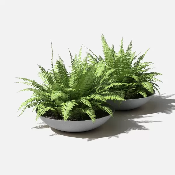 imageVeradek Mason Series Lane Bowl PlanterLarge Round Planter for Indoor or Outdoor TabletopsGardens Made from Plastic ampamp Concrete with Drainage HolesModern Dcor for Flowers Succulents Small PlantsGray