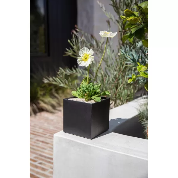 imageVeradek Forma Cube 5quot PlanterBlack