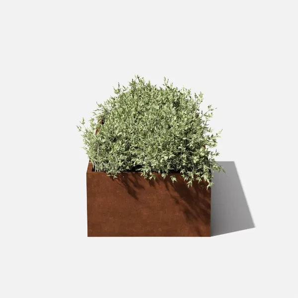 imageVeradek Corten Steel Series Raised Garden Bed  Large Metal Flower Bed for Outdoor Gardens  Naturally Rusting Steel for AllWeather Use  Modern Rustic Dcor for Fruits Vegetables HerbsRust
