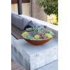 imageVeradek Corten Steel Series Steel Round Bowl Planter BV22RSRust