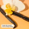 imageeos Natural Shea Lip Balm Honey Apple AllDay Moisture Made for Sensitive Skin Shea Lip Care Products 025 ozVanilla Bean