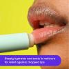 imageeos 100 Natural ampamp Organic Lip Balm Sweet Mint Dermatologist Recommended AllDay Moisture Lip Care 039 oz Stick ampamp SphereBirthday Cake StickSphere