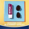 imageNIVEA Lip Balm Blackberry Flavored Tinted Lip Balm Stick with Shea Butter and Jojoba Oil 017 Oz Pack of 4Cherry  Strawberry  Watermelon  Blackberry