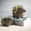 imageSullivans Dachshund Dog Planter Set of 2 Distressed Terracotta Bronze for Indoor and Outdoor Flower Garden Statue Decor