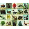 imageSullivans Darren Gygi Lodge Themed 500 Piece Jigsaw Puzzle for Adults and Kids 20quot W x 16quot H Multicolored Game Night
