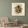 imageSullivans Darren Gygi Sepia Ladybug Giclee Wall Art Gallery Wrapped Handcrafted in USA Wall Art Wall Decor Home Dcor Handed Painted