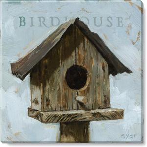 imageSullivans Darren Gygi Birdhouse Giclee Wall Art  Wall Art Canvas Prints Wall Dcor Artwork 20quot L x20 W x1 H