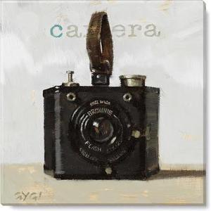 imageSullivans Darren Gygi Camera Giclee Wall Art  Wall Art Canvas Prints Wall Dcor Artwork 9quot L x9 W x1 H