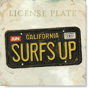 imageSullivans Darren Gygi License Plate Giclee Wall Art  Wall Art Canvas Prints Wall Dcor Artwork 20quot L x20 W x1 H