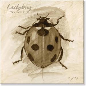 imageSullivans Darren Gygi Sepia Ladybug Giclee Wall Art Gallery Wrapped Handcrafted in USA Wall Art Wall Decor Home Dcor Handed Painted