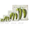imageSullivans Darren Gygi Banana Peppers Giclee Wall Art  Wall Art Canvas Prints Wall Dcor Artwork 14quot L x14 W x1 H