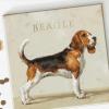 imageSullivans Darren Gygi Beagle Canvas Museum Quality Giclee Print Gallery Wrapped Handcrafted in USA 5quot W x 5quot L Multicolored