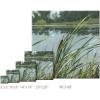 imageSullivans Darren Gygi Cattails Giclee Wall Art Wall Art Canvas Prints Wall Dcor Artwork 9quot L x9 W x1 H