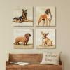 imageSullivans Darren Gygi Chihuahua Canvas Museum Quality Giclee Print Gallery Wrapped Handcrafted in USA 20quot W x 20quot L Multicolored