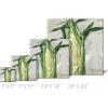 imageSullivans Darren Gygi Corn Giclee Wall Art  Wall Art Canvas Prints Wall Dcor Artwork 5quot L x5 W x1 H