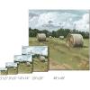 imageSullivans Darren Gygi Hayfield Museum Quality Giclee Print Gallery Wrapped Handcrafted in USA 5quot W x 5quot L Multicolored