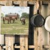 imageSullivans Darren Gygi Horses ampamp Barn Giclee Wall Art Gallery Wrapped Handcrafted in USA Wall Art Wall Decor Home Dcor Handed Painted