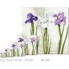 imageSullivans Darren Gygi Iris Trio Giclee Wall Art Wall Art Canvas Prints Wall Dcor Artwork 5quot L x5 W x1 H