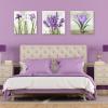imageSullivans Darren Gygi Iris Trio Giclee Wall Art Wall Art Canvas Prints Wall Dcor Artwork 5quot L x5 W x1 H