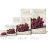 imageSullivans Darren Gygi Red Grapes Canvas Museum Quality Giclee Print Gallery Wrapped Handcrafted in USA 9quot W x 9quot L Purple