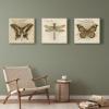 imageSullivans Darren Gygi Sepia Dragonfly Giclee Wall Art Gallery Wrapped Handcrafted in USA Wall Art Wall Decor Home Dcor Handed Painted