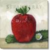 imageSullivans Darren Gygi Strawberry Giclee Wall Art  Wall Art Canvas Prints Wall Dcor Artwork 9quot L x9 W x1 H