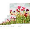 imageSullivans Darren Gygi Tulip Field Canvas Museum Quality Giclee Print Gallery Wrapped Handcrafted in USA 5quot W x 5quot L Multicolored