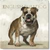 imageDarren Gygi English Bulldog Giclee Wall Ar Wall Art Canvas Prints Wall Dcor Artwork 20quotL x20quotW x1quotH