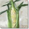 imageSullivans Darren Gygi Corn Giclee Wall Art  Wall Art Canvas Prints Wall Dcor Artwork 5quot L x5 W x1 H