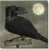 imageSullivans Darren Gygi Crow Canvas Museum Quality Giclee Print Gallery Wrapped Handcrafted in USA 20quot W Black