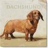 imageSullivans Darren Gygi Dachshund Canvas Museum Quality Giclee Print Gallery Wrapped Handcrafted in USA 9quot W x 9quot L Multicolored