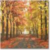 imageSullivans Darren Gygi Fall Path Giclee Wall Art Wall Art Canvas Prints Wall Dcor Artwork 14quot L x14 W x1 H