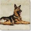 imageSullivans Darren Gygi German Shepherd Canvas Museum Quality Giclee Print Gallery Wrapped Handcrafted in USA 14quot W x 14quot L Multicolored