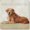 imageSullivans Darren Gygi Golden Retriever Canvas Museum Quality Giclee Print Gallery Wrapped Handcrafted in USA 5quot W x 5quot L Multicolored