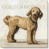 imageSullivans Darren Gygi Goldendoodle Giclee Wall Art Wall Art Canvas Prints Wall Dcor Artwork 5quot L x5 W x1 H
