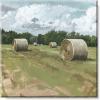 imageSullivans Darren Gygi Hayfield Museum Quality Giclee Print Gallery Wrapped Handcrafted in USA 5quot W x 5quot L Multicolored