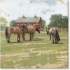 imageSullivans Darren Gygi Horses ampamp Barn Giclee Wall Art Gallery Wrapped Handcrafted in USA Wall Art Wall Decor Home Dcor Handed Painted