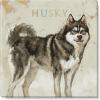 imageSullivans Darren Gygi Husky Canvas Museum Quality Giclee Print Gallery Wrapped Handcrafted in USA 14quot W x 14quot L Multicolored