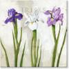 imageSullivans Darren Gygi Iris Trio Giclee Wall Art Wall Art Canvas Prints Wall Dcor Artwork 5quot L x5 W x1 H