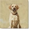 imageSullivans Darren Gygi Labrador Canvas Museum Quality Giclee Print Gallery Wrapped Handcrafted in USA 20quot W x 20quot L Multicolored