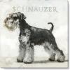 imageSullivans Darren Gygi Miniature Schnauzer Wall Art Wall Art Canvas Prints Wall Dcor Artwork 14quot L x14 W x1 H