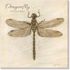 imageSullivans Darren Gygi Sepia Dragonfly Giclee Wall Art Gallery Wrapped Handcrafted in USA Wall Art Wall Decor Home Dcor Handed Painted