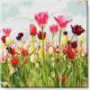 imageSullivans Darren Gygi Tulip Field Canvas Museum Quality Giclee Print Gallery Wrapped Handcrafted in USA 5quot W x 5quot L Multicolored