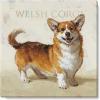 imageSullivans Darren Gygi Welsh Corgi Canvas Museum Quality Giclee Print Gallery Wrapped Handcrafted in USA 20quot W x 20quot L Multicolored