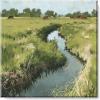 imageSullivans Darren Gygi Winding Stream Museum Quality Giclee Print Gallery Wrapped Handcrafted in USA 5quot W x 5quot L Multicolored