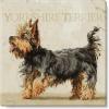 imageSullivans Darren Gygi Yorkshire Terrier Canvas Museum Quality Giclee Print Gallery Wrapped Handcrafted in USA 20quot W x 20quot L Multicolored