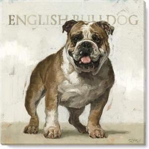 imageDarren Gygi English Bulldog Giclee Wall Ar Wall Art Canvas Prints Wall Dcor Artwork 20quotL x20quotW x1quotH